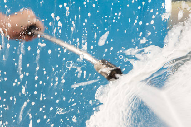 Animal Enclosure Cleaning in Cactus Flats, AZ