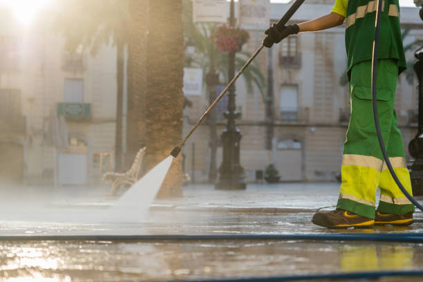Best Fence Cleaning  in Cactus Flats, AZ